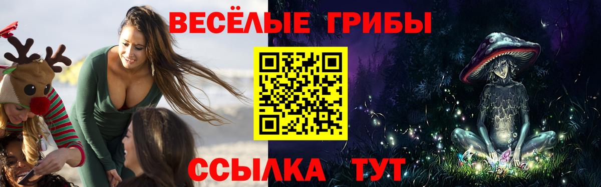 Псилоцибиновые грибы Magic Shrooms Долгопрудный